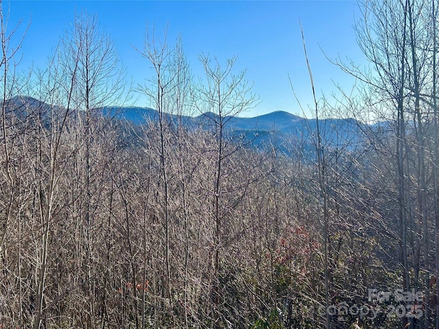 LOT74 Freedom Way Unit 74, Bryson City NC, 28713 land for sale