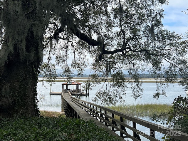 dock area with a water view