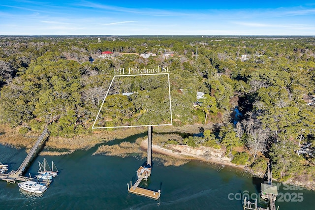 131 Pritchard St, Bluffton, SC 29910 - photo 42