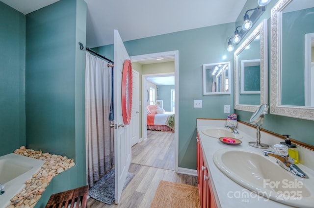 bathroom with hardwood / wood-style flooring and vanity