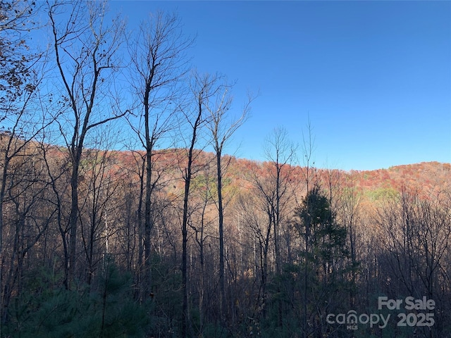 TBD(Lot19) Wolf Den Lane, Lenoir NC, 28645 land for sale