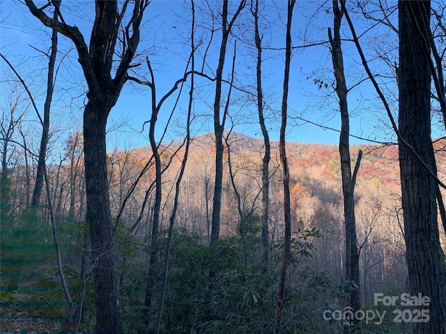 Listing photo 3 for TBD(Lot19) Wolf Den Lane, Lenoir NC 28645