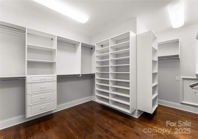 spacious closet featuring dark hardwood / wood-style flooring