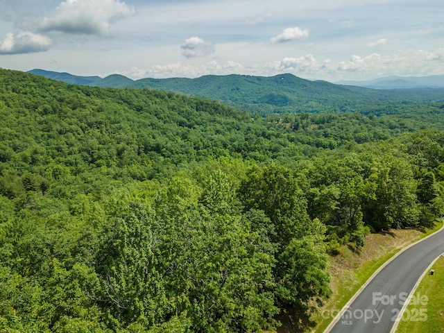 property view of mountains