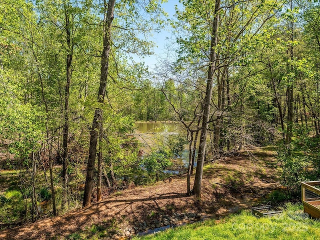 view of local wilderness with a water view and a wooded view