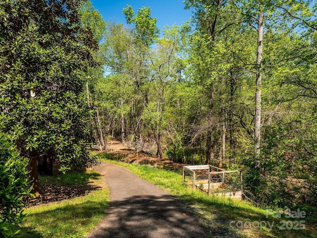 view of road featuring a forest view