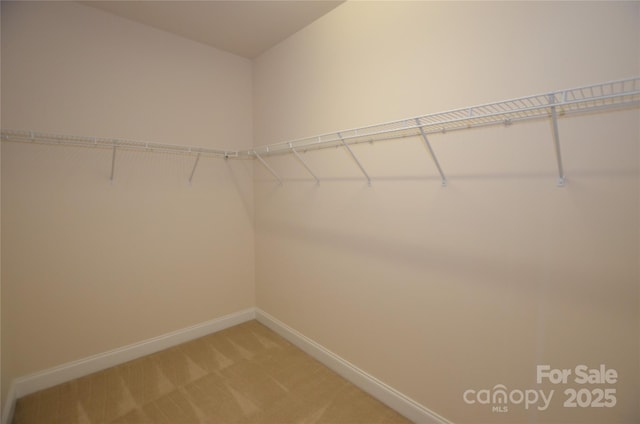 spacious closet with carpet