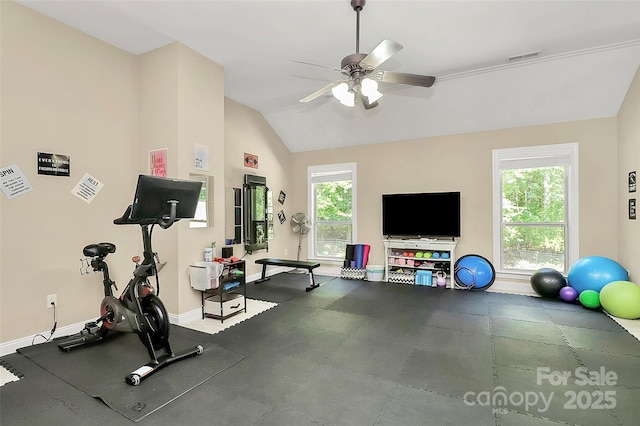 exercise area with lofted ceiling, plenty of natural light, and ceiling fan