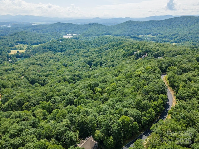 birds eye view of property featuring a mountain view