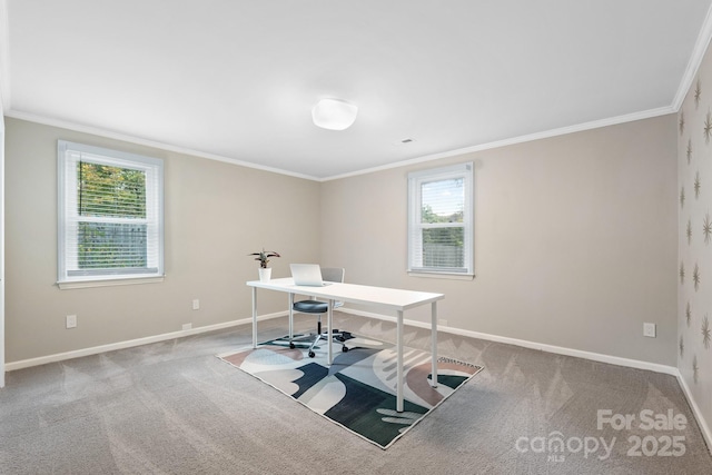 unfurnished office featuring crown molding and light colored carpet