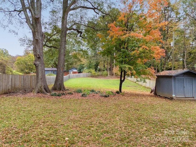 view of yard featuring a shed