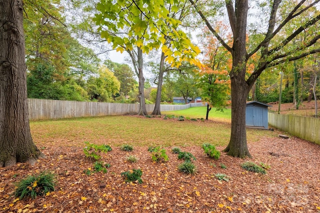 view of yard featuring a storage unit