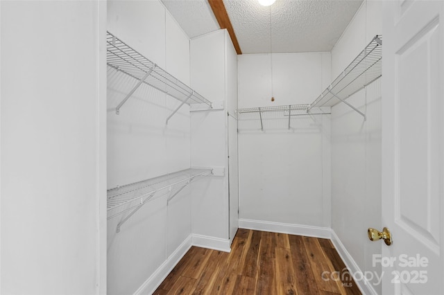 walk in closet featuring dark hardwood / wood-style floors