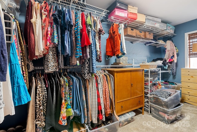 spacious closet featuring carpet