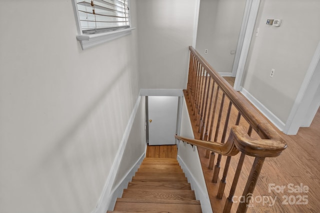 stairs featuring hardwood / wood-style flooring