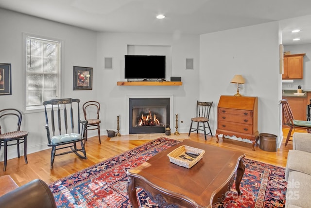 living room featuring hardwood / wood-style flooring