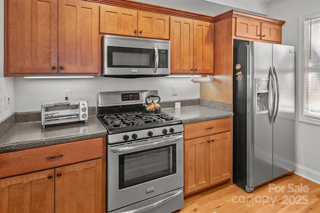 kitchen with light hardwood / wood-style flooring and stainless steel appliances