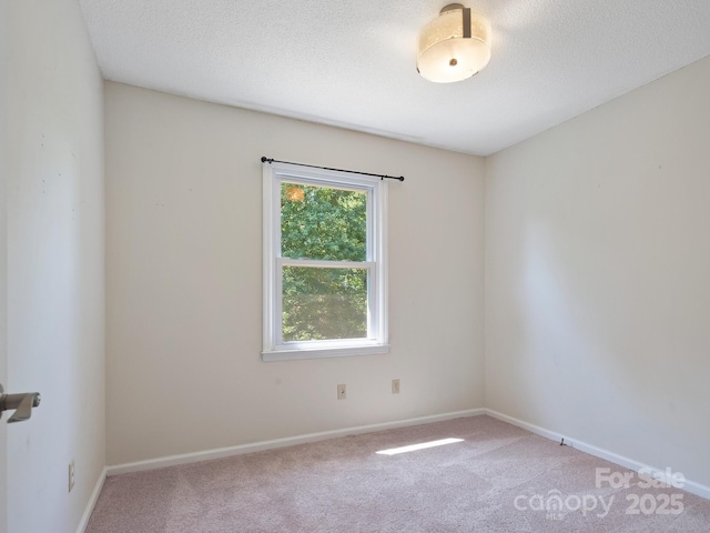 unfurnished room featuring a textured ceiling and carpet flooring