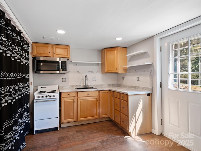 kitchen with tasteful backsplash, white electric range, dark hardwood / wood-style floors, and sink