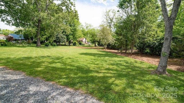 413 London St, Morganton, NC 28655 - view of yard