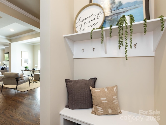 mudroom featuring ornamental molding and dark hardwood / wood-style floors