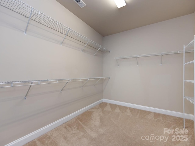 spacious closet with carpet