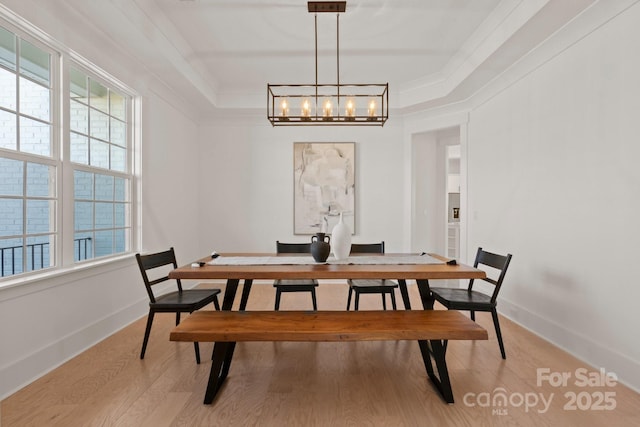 dining room with baseboards, a tray ceiling, light wood finished floors, and a healthy amount of sunlight