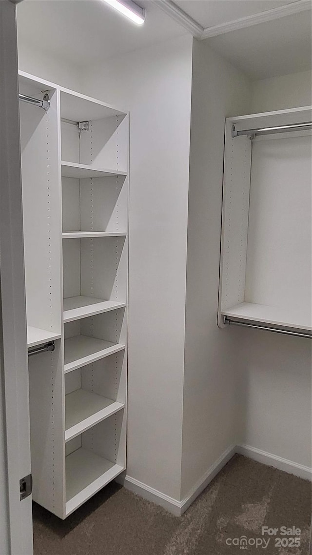 spacious closet featuring dark carpet