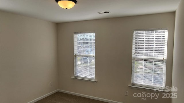 carpeted spare room with a wealth of natural light