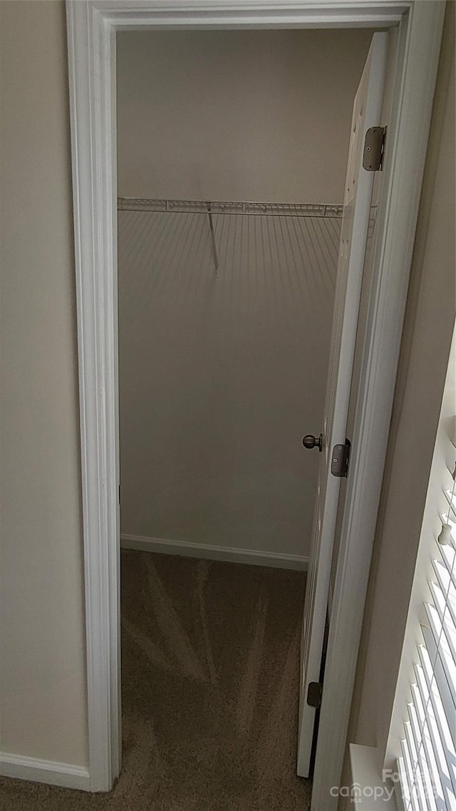 view of closet