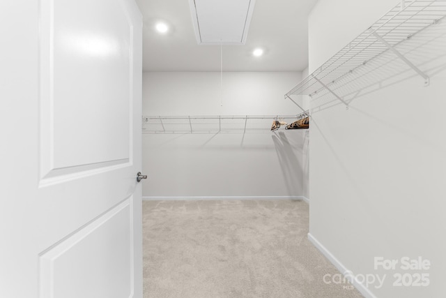 spacious closet featuring light carpet