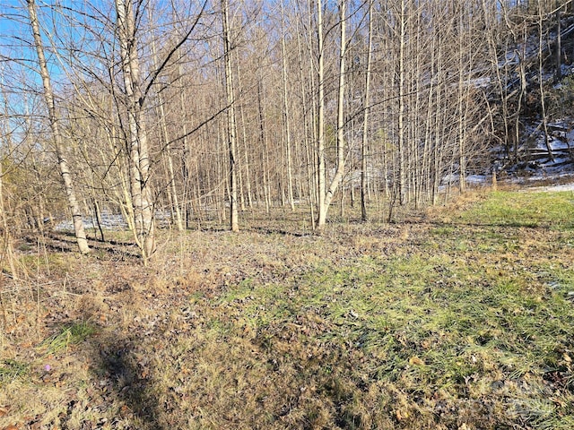 2446 Fairview Rd, Marion, NC 28752 - photo 5
