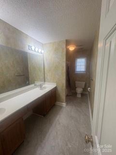 bathroom with toilet and vanity