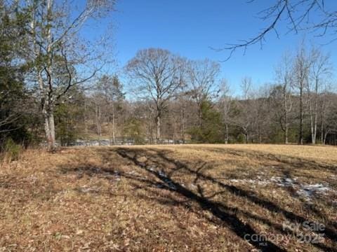 0 Springbrook Ln, Columbus, NC 28722 - photo 2