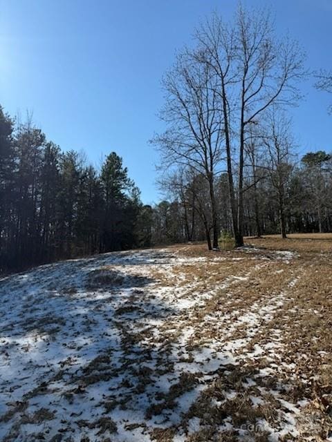 0 Springbrook Ln, Columbus, NC 28722 - photo 3