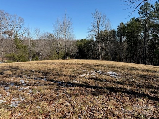 0 Springbrook Ln, Columbus NC, 28722 land for sale