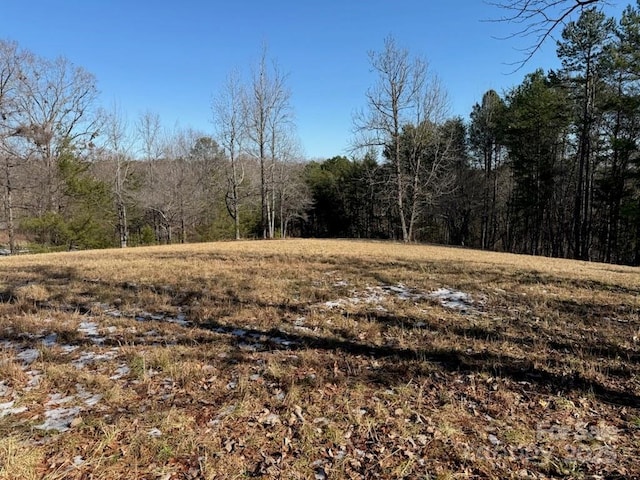 0 Springbrook Ln, Columbus, NC 28722 - photo 1