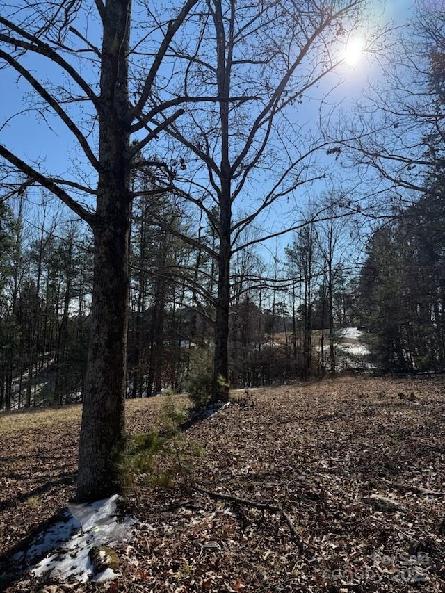 0 Springbrook Ln, Columbus, NC 28722 - photo 4