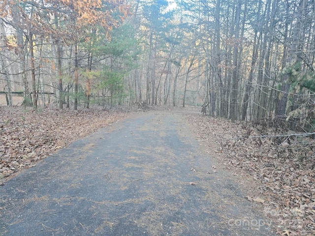 0 Springbrook Ln, Columbus, NC 28722 - photo 5