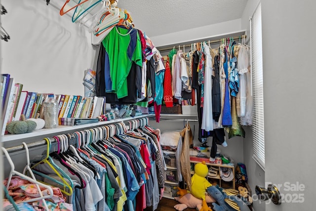 view of walk in closet