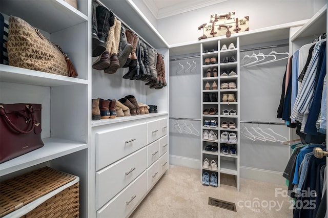 walk in closet with light colored carpet