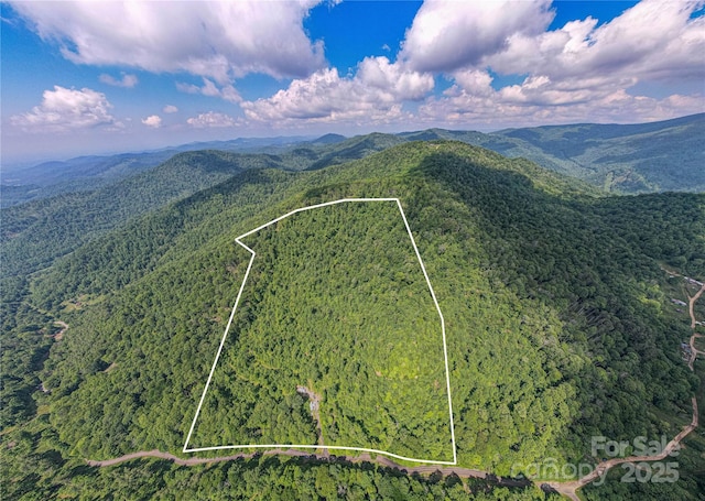 1201 Simms Fork Rd, Burnsville, NC 28714