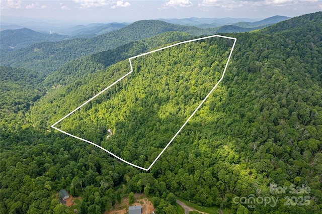 1201 Simms Fork Rd, Burnsville, NC 28714