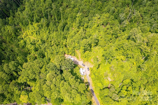 1201 Simms Fork Rd, Burnsville, NC 28714