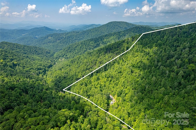 1201 Simms Fork Rd, Burnsville, NC 28714