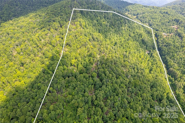 1201 Simms Fork Rd, Burnsville, NC 28714