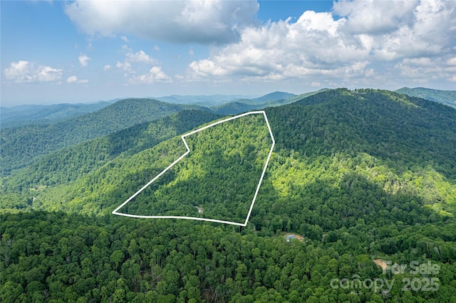 1201 Simms Fork Rd, Burnsville, NC 28714