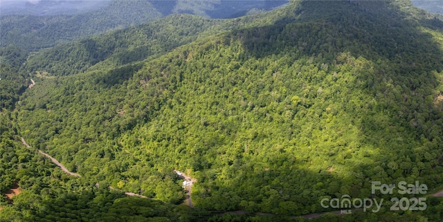 1201 Simms Fork Rd, Burnsville, NC 28714
