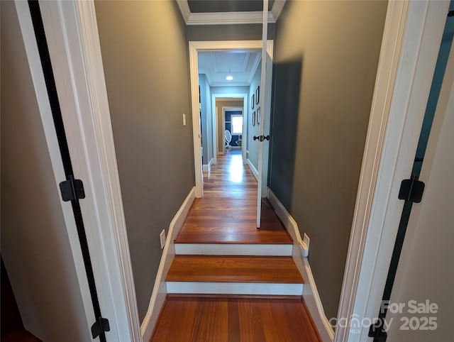 corridor with crown molding and hardwood / wood-style floors