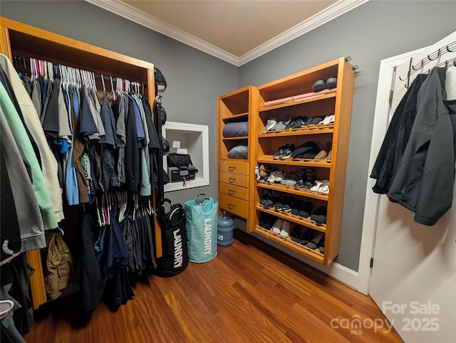 spacious closet featuring wood-type flooring